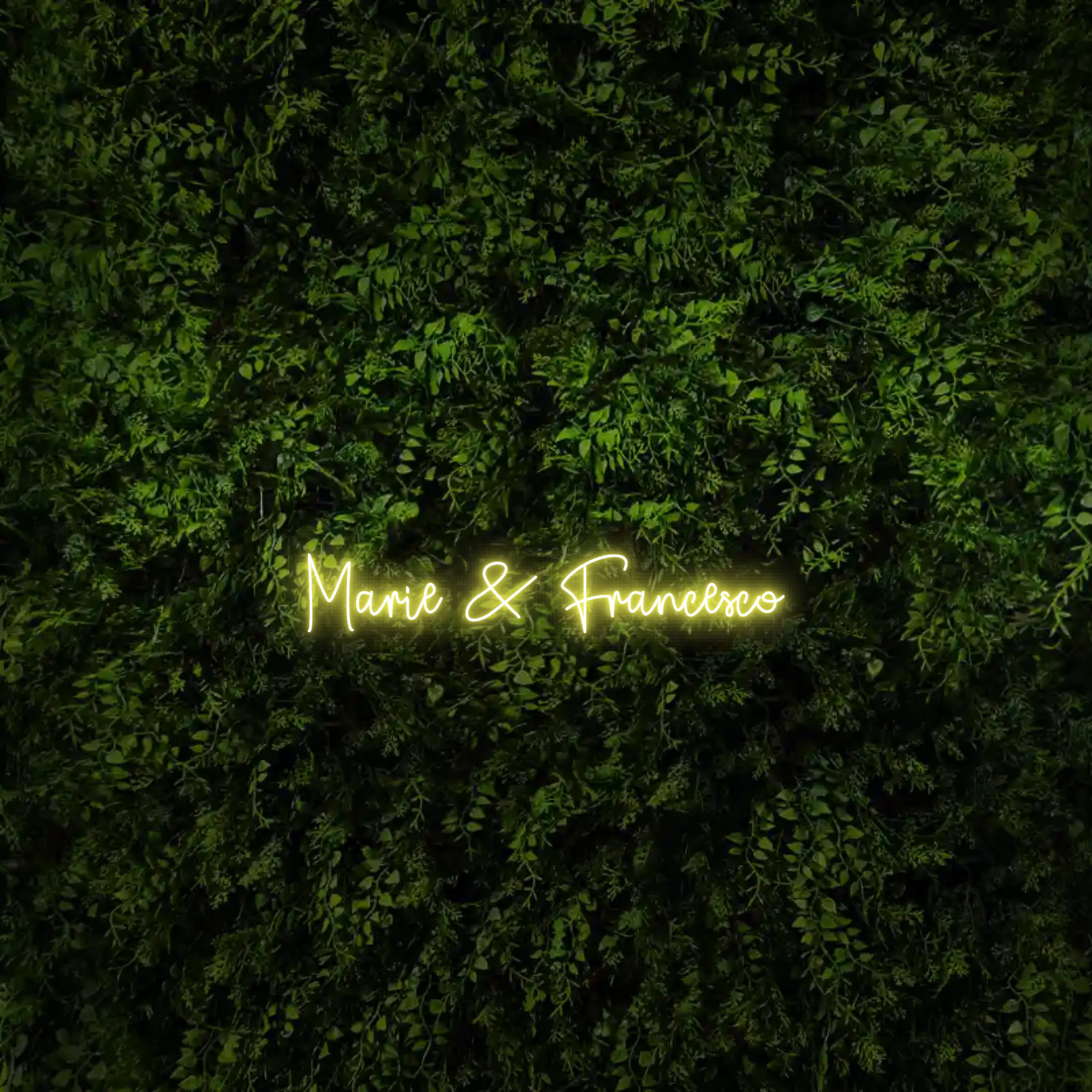 Marie & Francesco  – Neon Sign