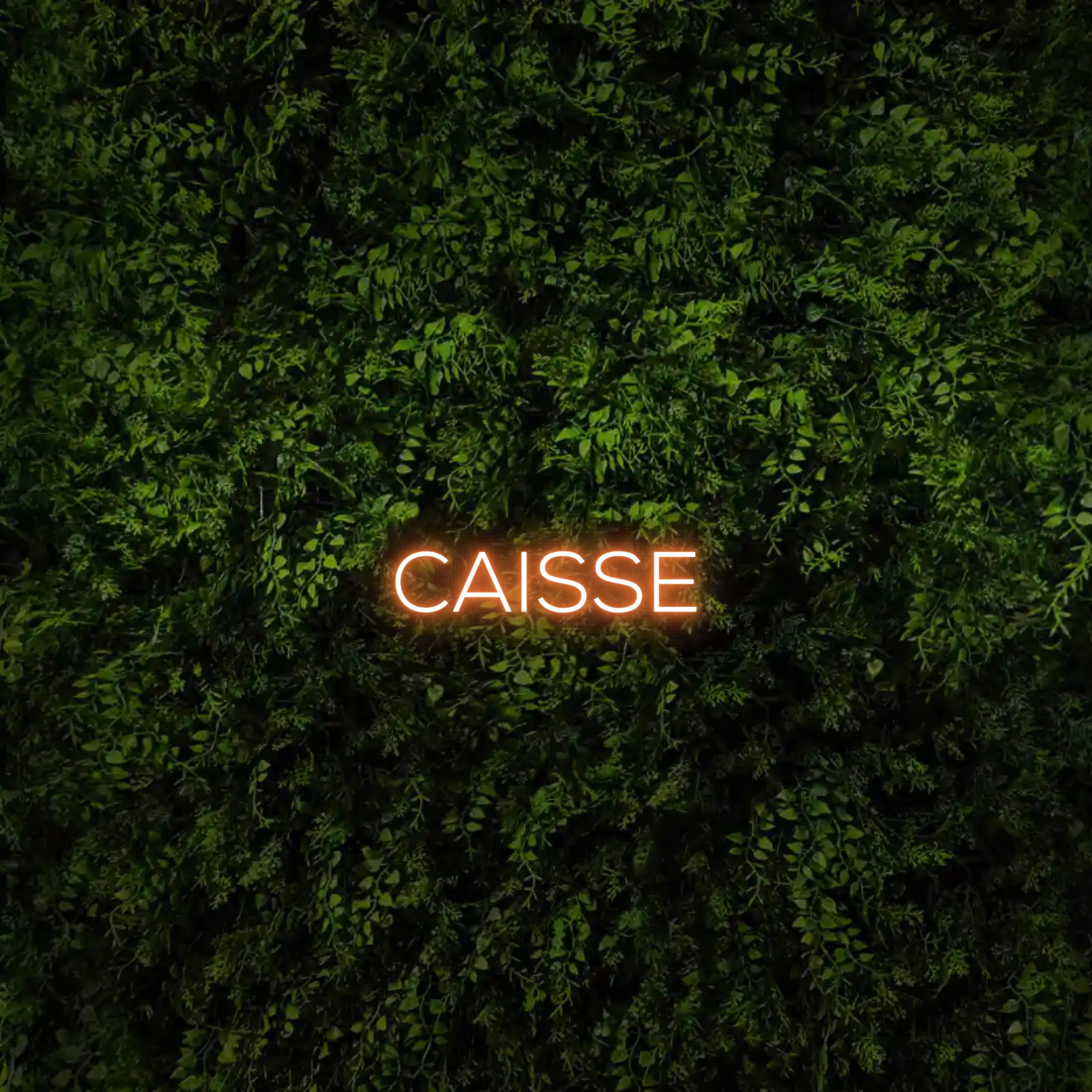 CAISSE – Neon Sign