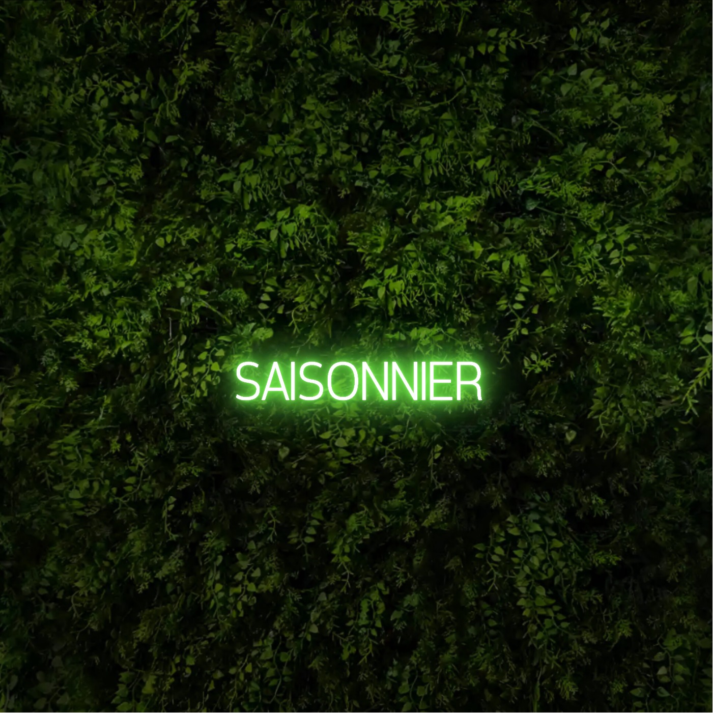 SAISONNIER – Neon Sign