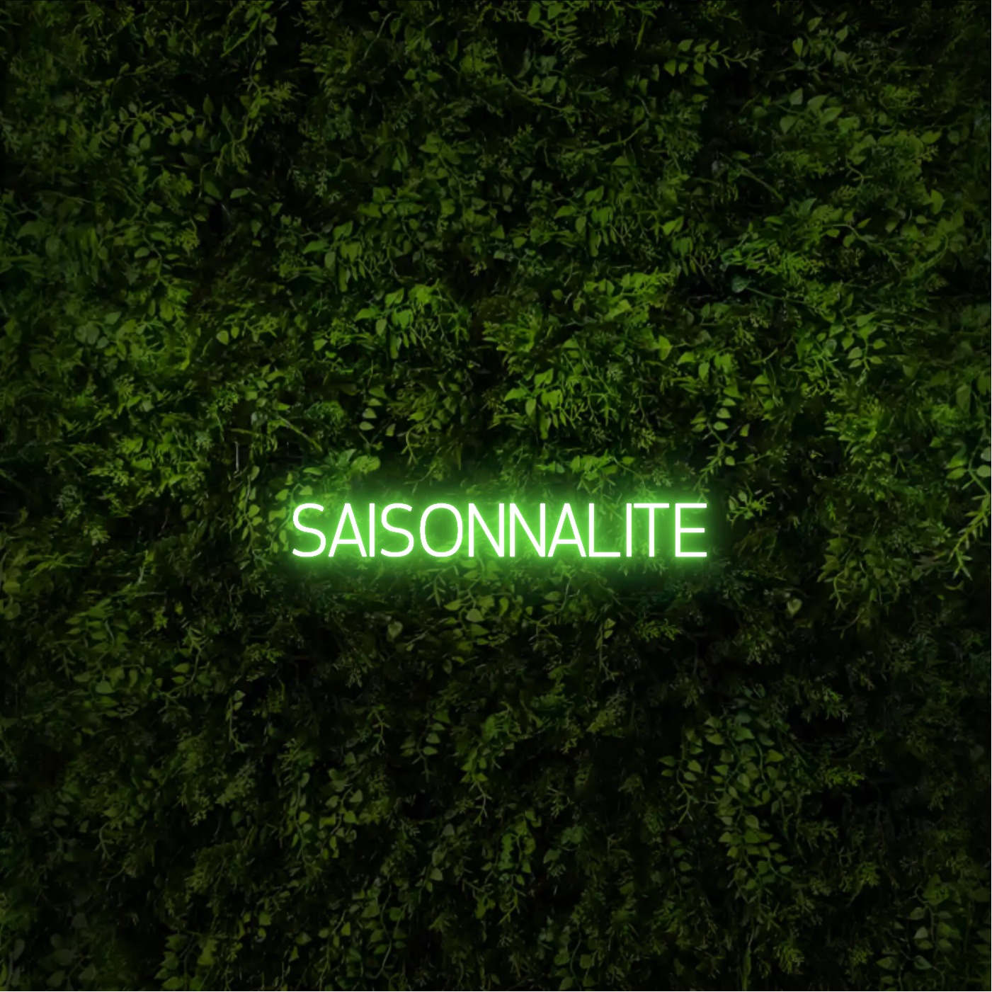 SAISONNALITE – Neon Sign