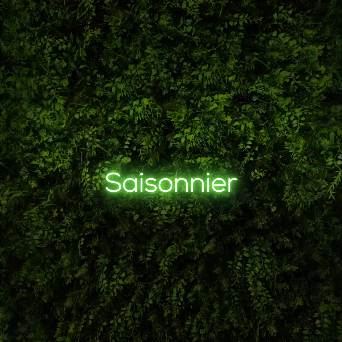 Saisonnier – Neon Sign