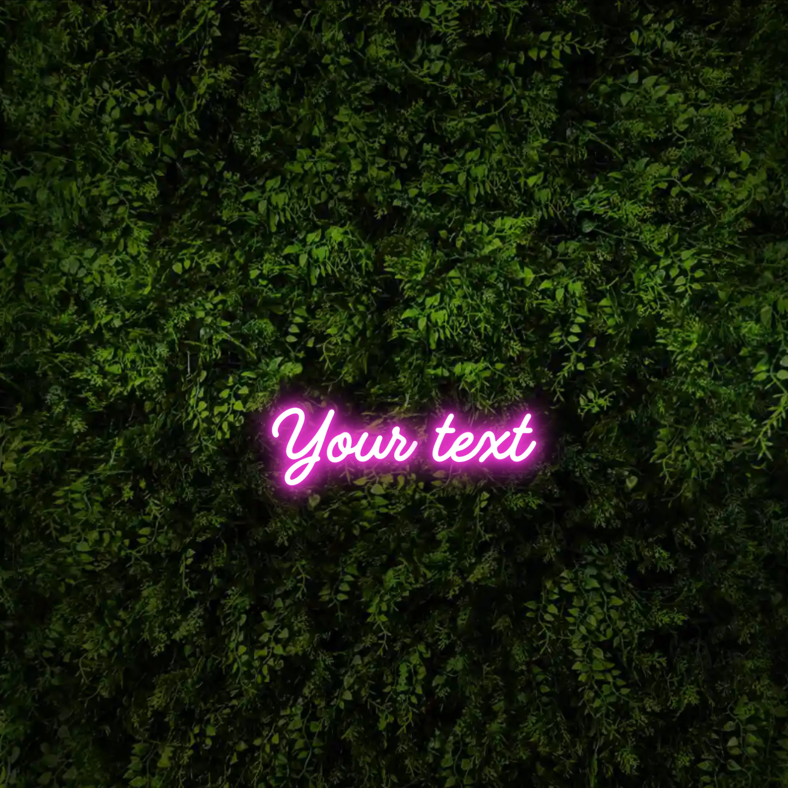 Your text – Neon Sign