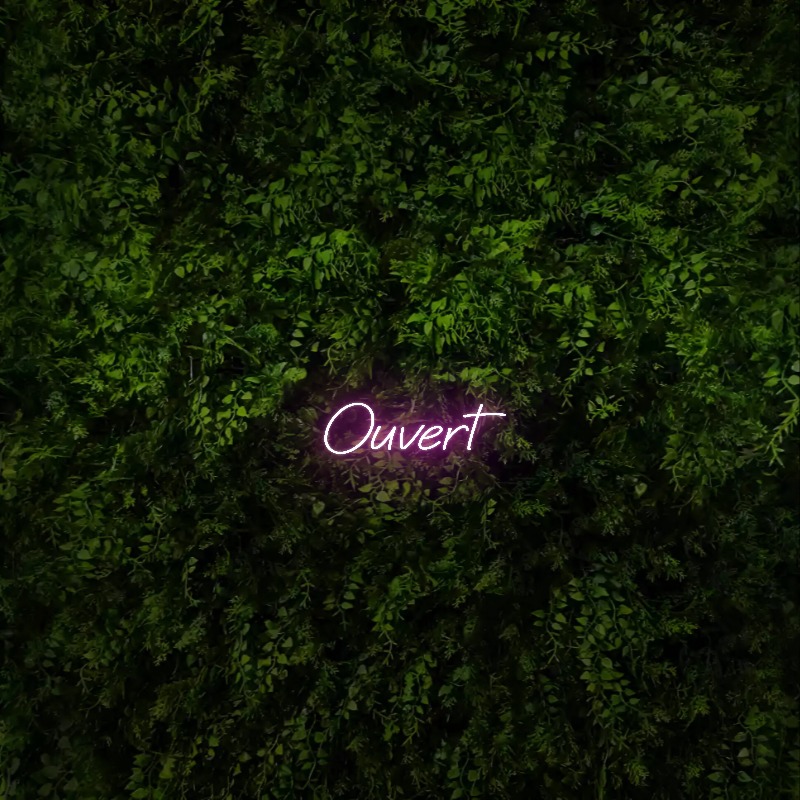 Ouvert – Neon Sign