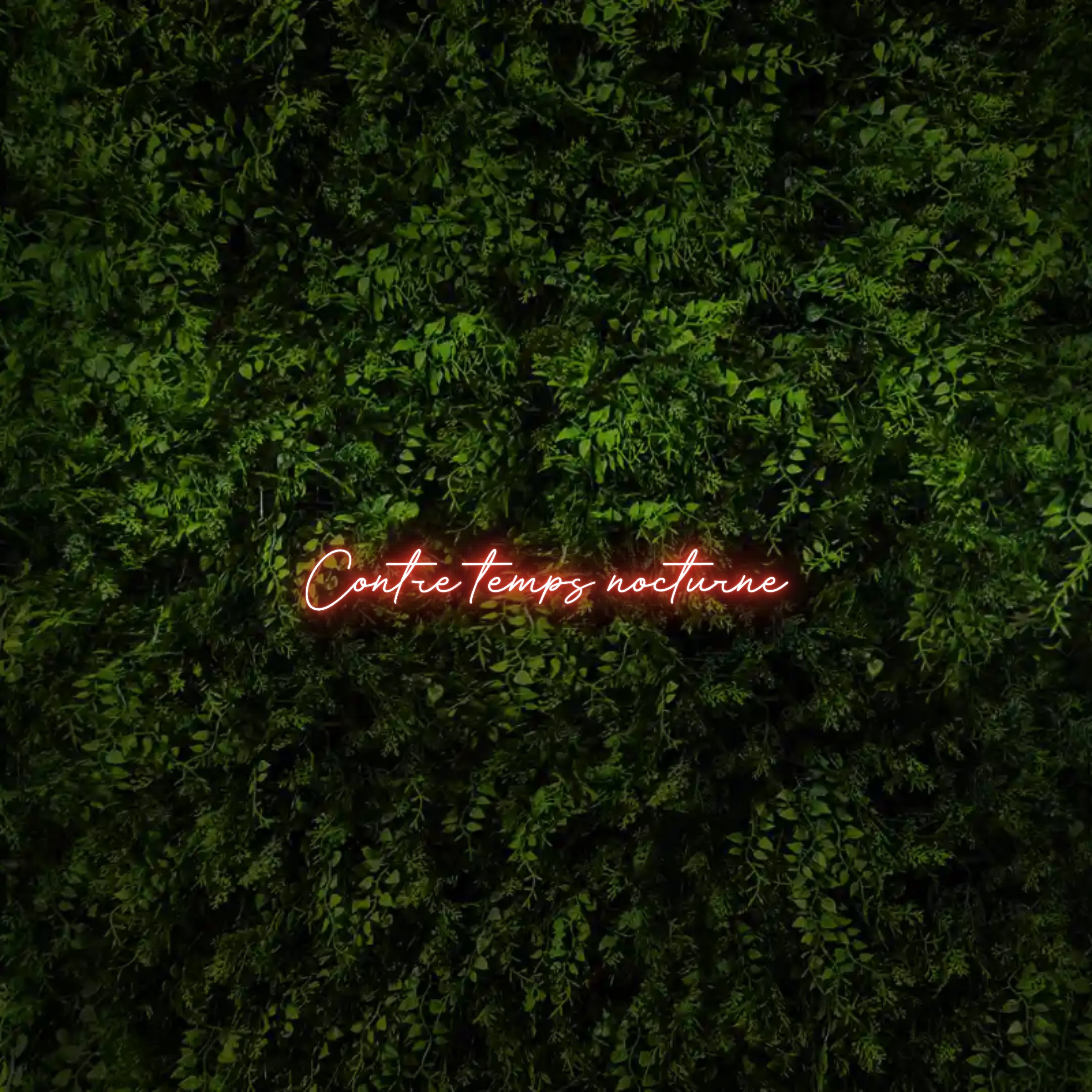 Contre temps nocturne – Neon Sign