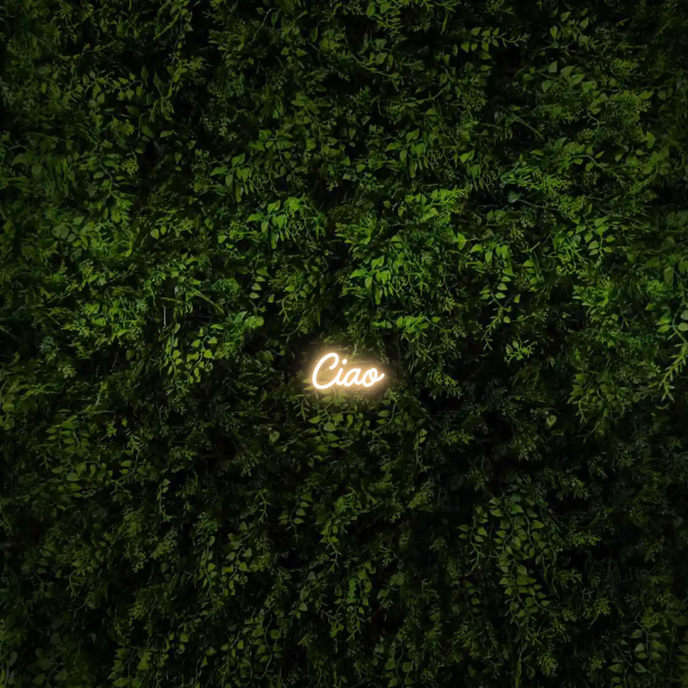 Ciao  – Neon Sign