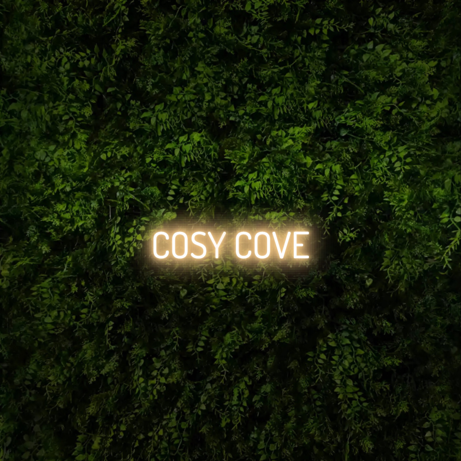 COSY COVE
  – Neon Sign