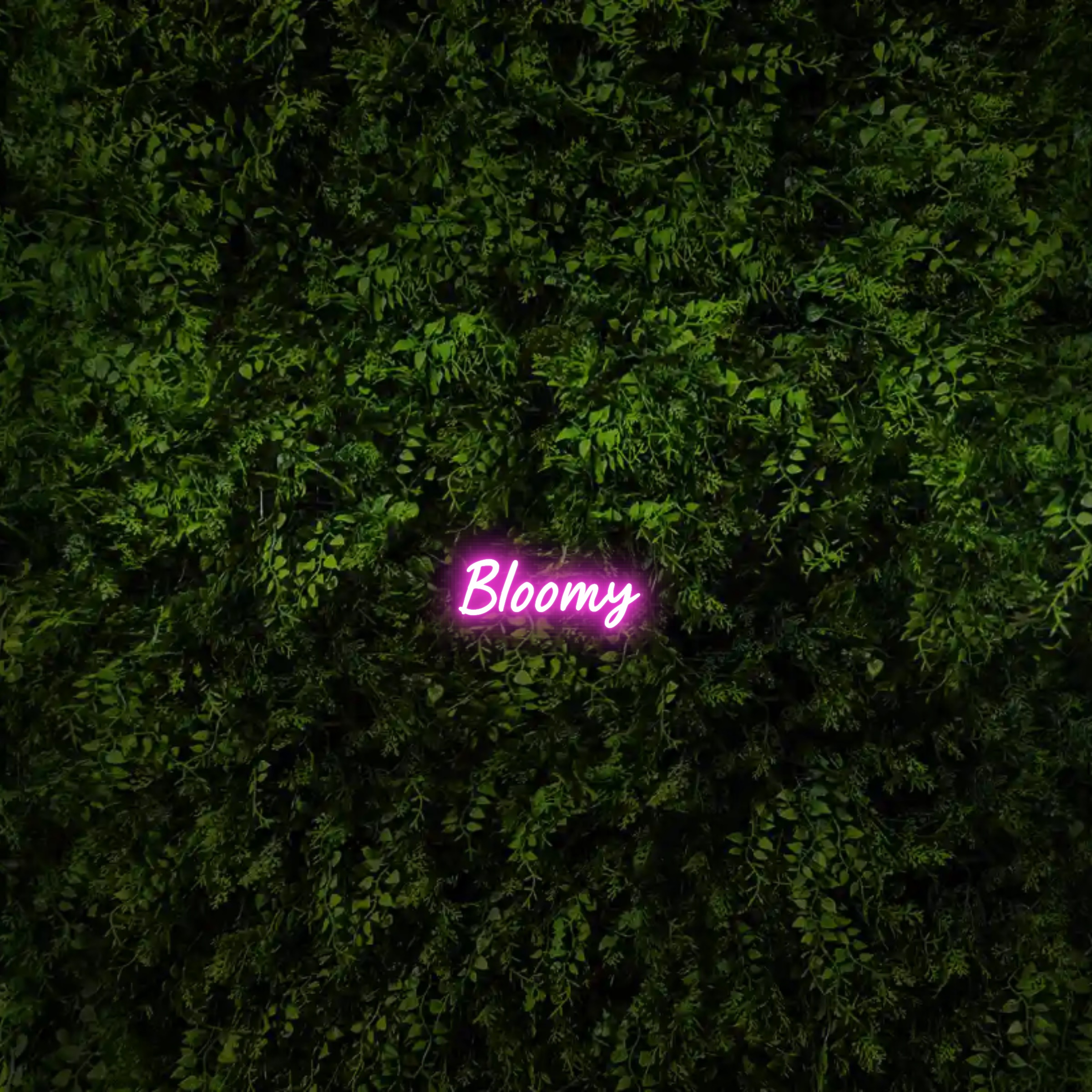 Bloomy  – Neon Sign