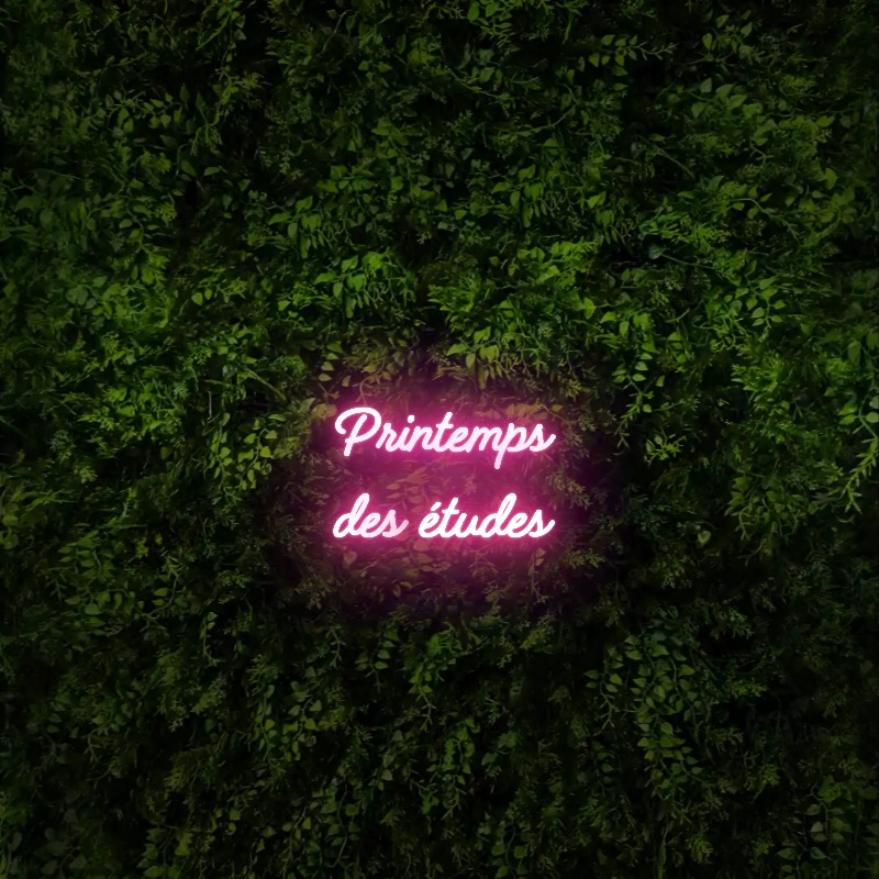 Printemps 
des études – Neon Sign