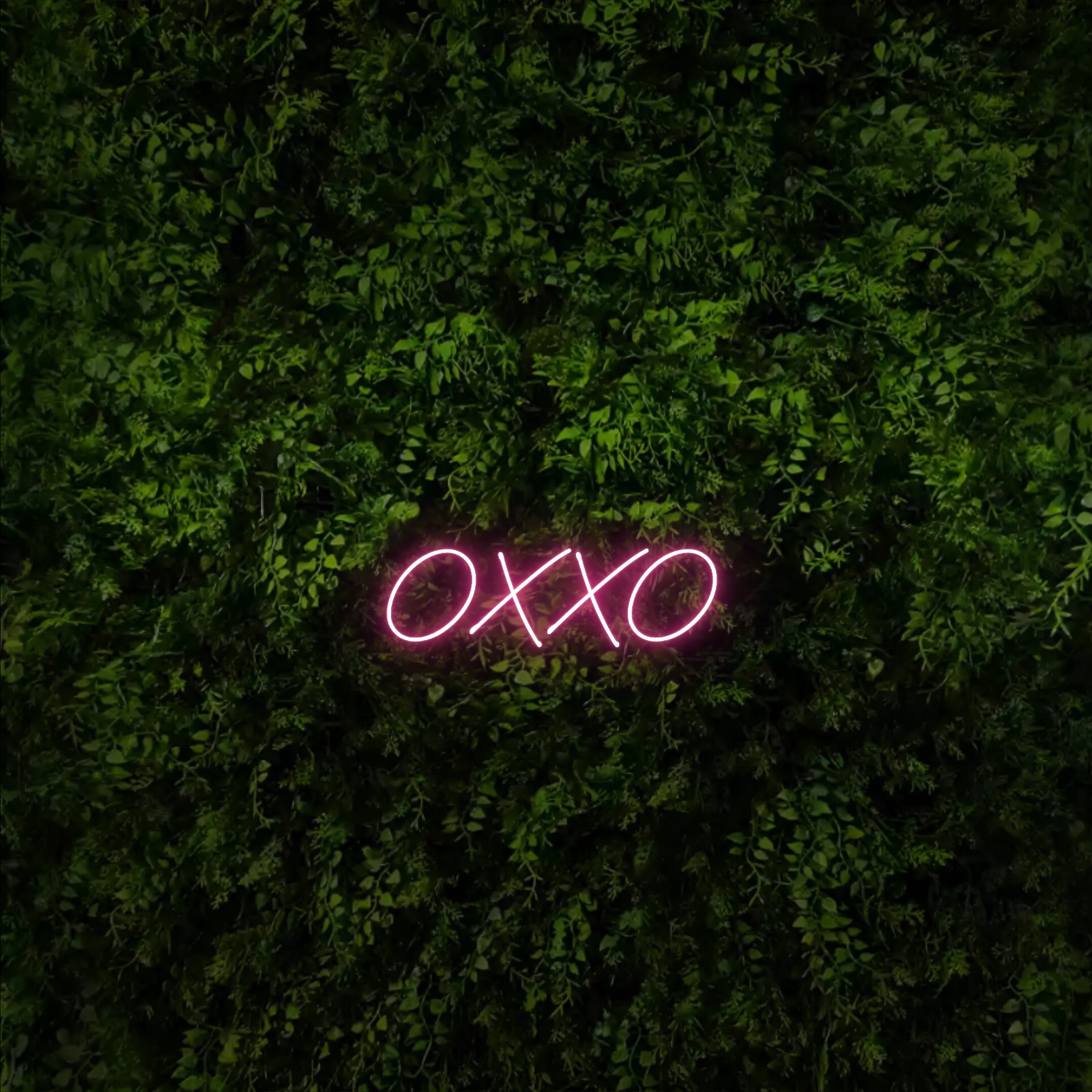 OXXO – Neon Sign