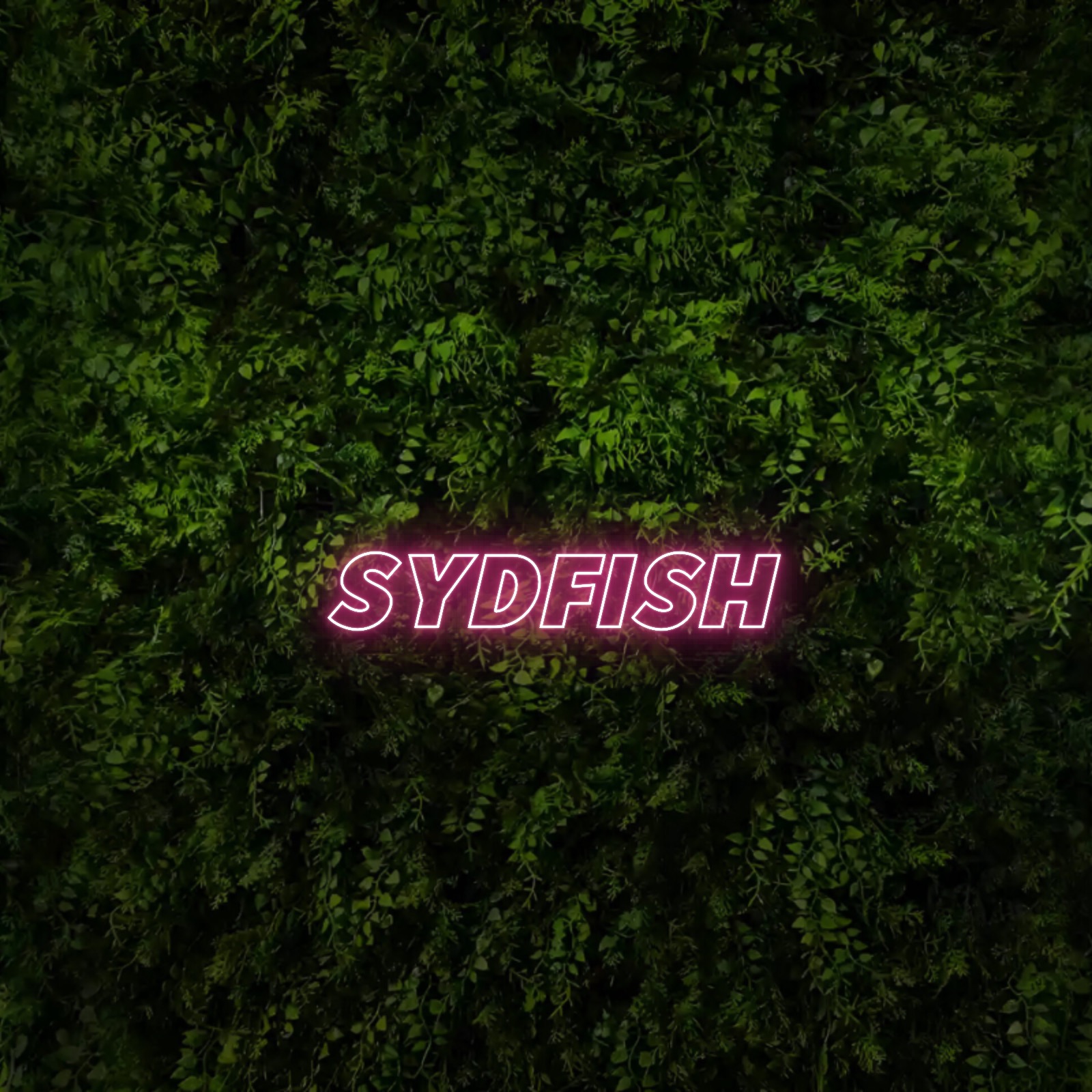 SYDFISH – Neon Sign