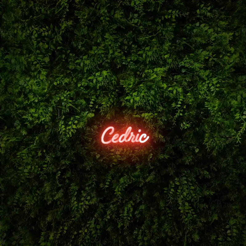 Cedric – Neon Sign
