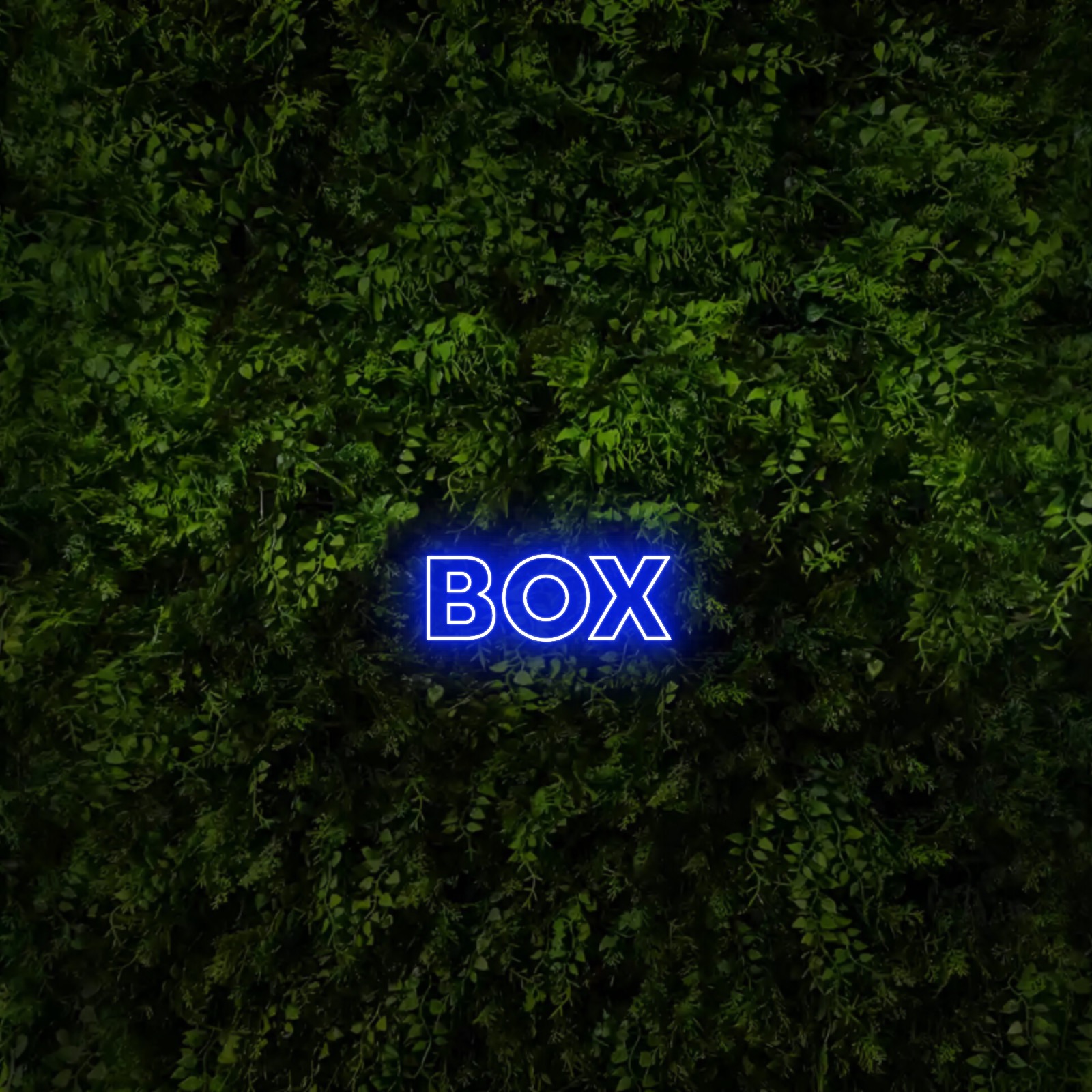 BOX – Neon Sign